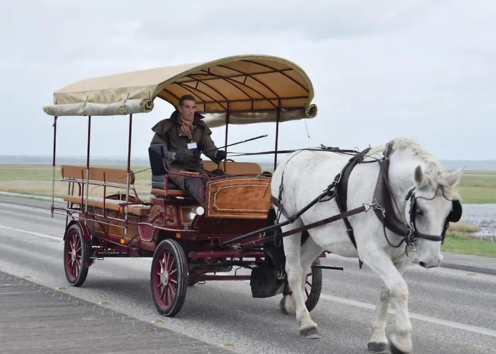 Dom wakacyjny Pet Friendly In