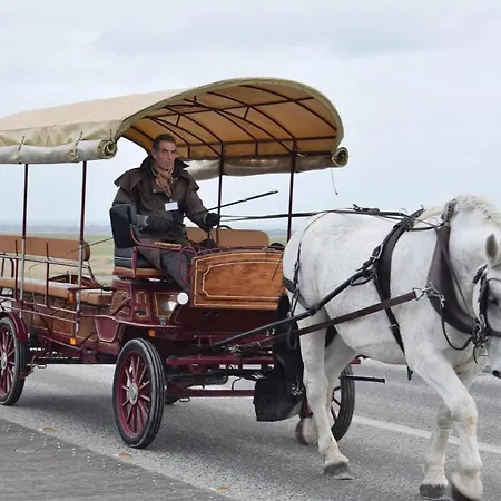 Casa vacanze Pet Friendly In